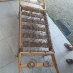 étape de l'observation et diagnostic avec le conseil et le choix