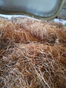 élancrin utilisé pour les garnitures traditionnelles